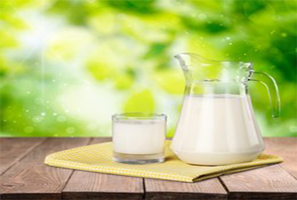 多功能净化柱-液相色谱法测定牛奶中黄曲霉毒素M1和M2含量