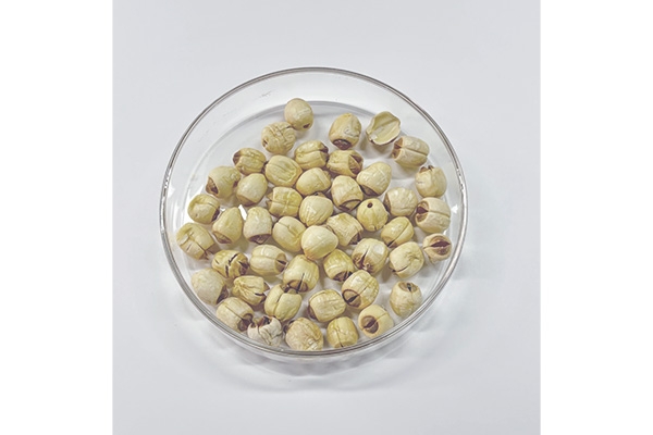 多功能净化柱-液相色谱法测定中药莲子中黄曲霉毒素含量