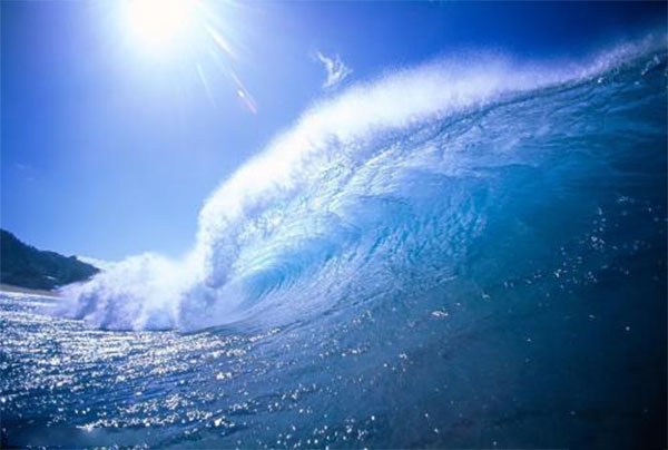 Analysis of herbicide SBSE-LCMSMS in seawater samples